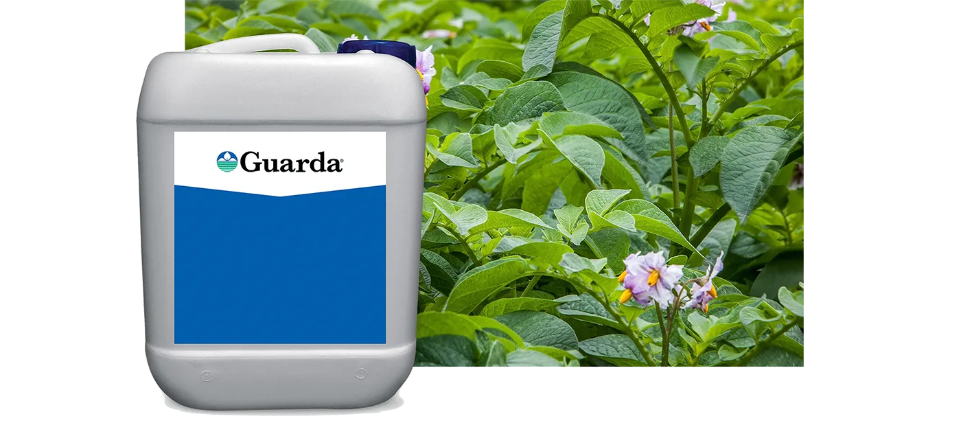 Guarda Biofungicide Product